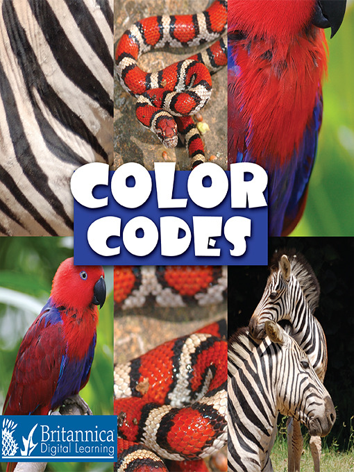 Title details for Color Codes by Lynn M. Stone - Available